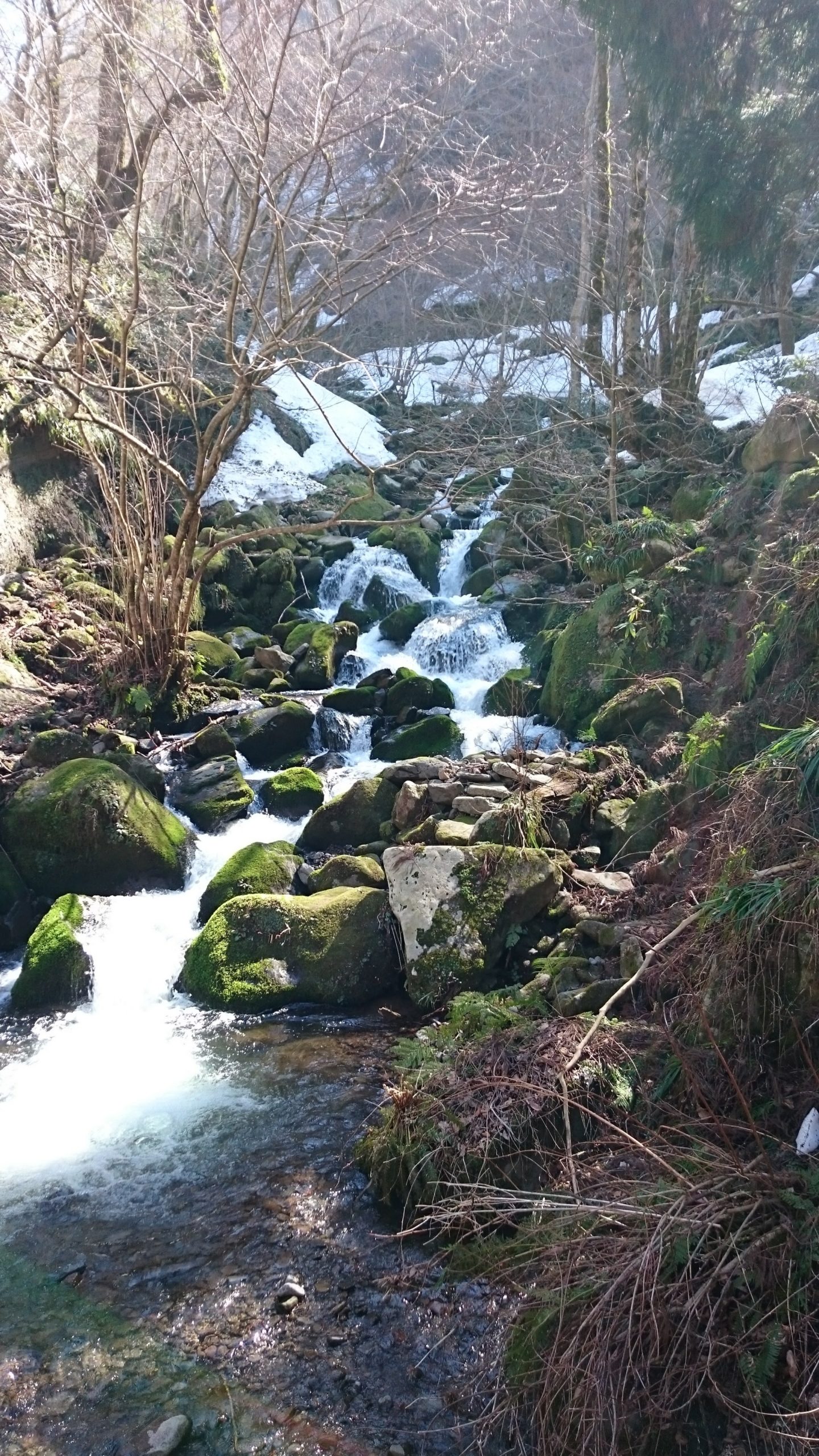 藤井のプロフォール写真です