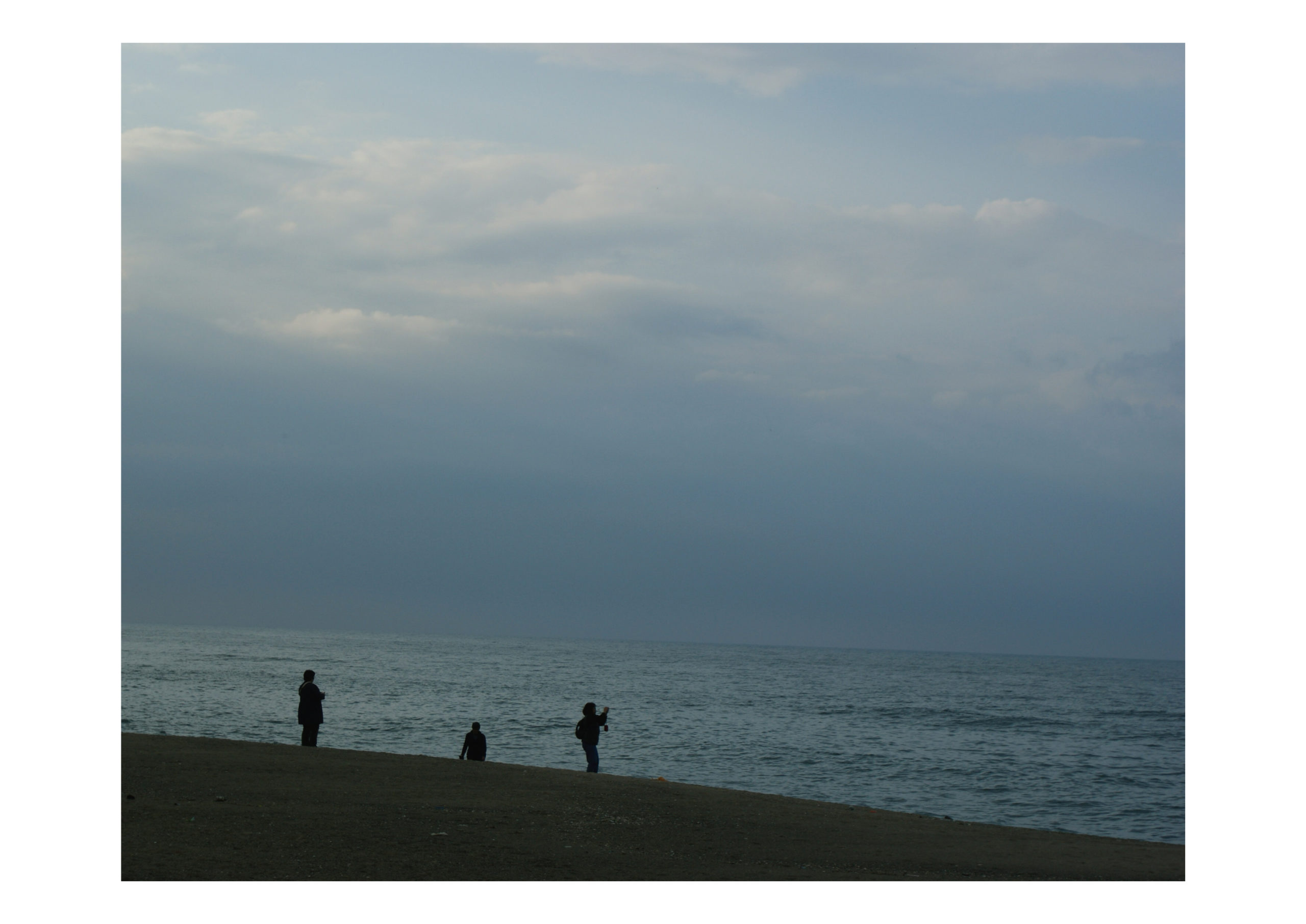 tmcのプロフォール写真です