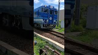 のプロフォール写真です