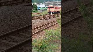 のプロフォール写真です