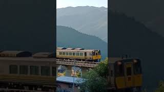 のプロフォール写真です