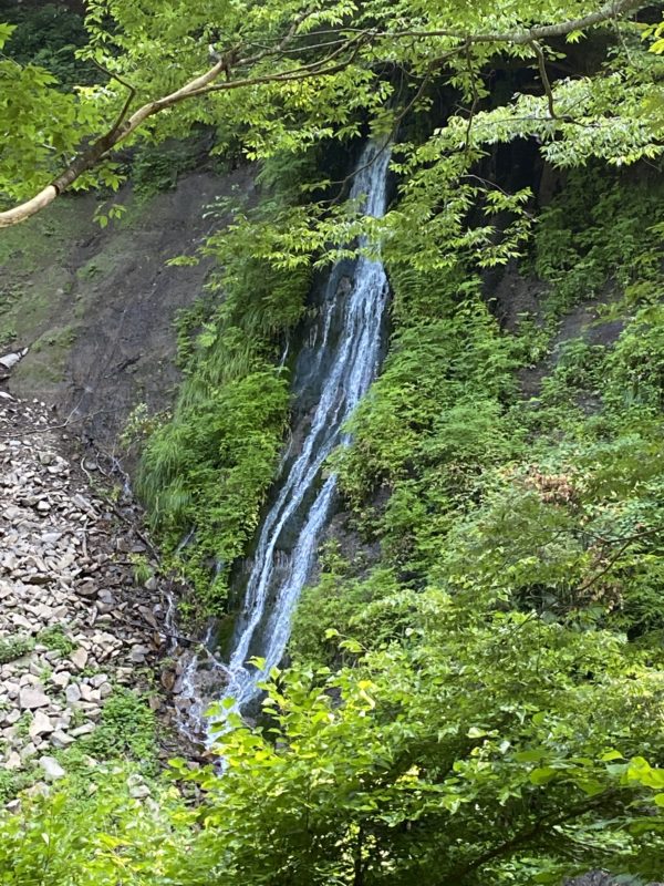 ナンシーのプロフォール写真です