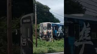 のプロフォール写真です