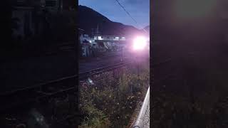 のプロフォール写真です